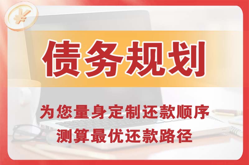 定边债务规划